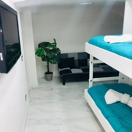 Amonia House